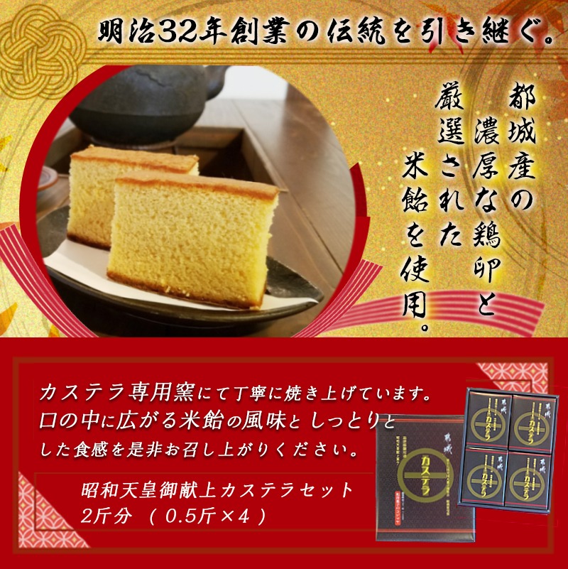 ふるさと納税 父っつぁんの日曜 カステラと煎茶書割り 都城分娩卵子利する カステラ専用窯で念入りに焼き上げ 独りでに原料品 スイーツ プディング かすていら 厳選米飴使用 焼きお菓子 全美かすてら 貨物輸送無料 7602 Fg 宮崎県都城市はふるさと納税二年齢連続性