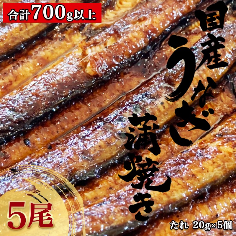 在庫一掃 ふるさと納税 国産うなぎ蒲焼5尾 うなぎ 蒲焼 国産 5尾 合計700g以上 タレg 5個 冷凍 鰻 ウナギ 送料無料 Ae 8401 宮崎県都城市はふるさと納税二年連続日本一 高い素材 Lexusoman Com