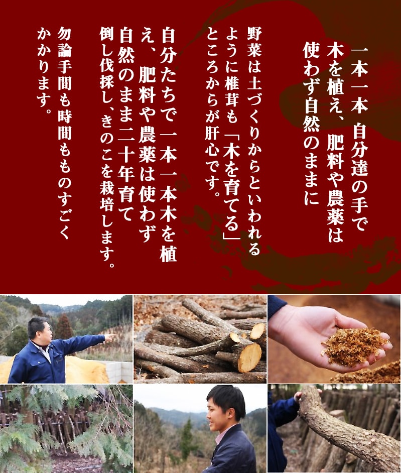 香り立つ!!「きのこ餃子」72個