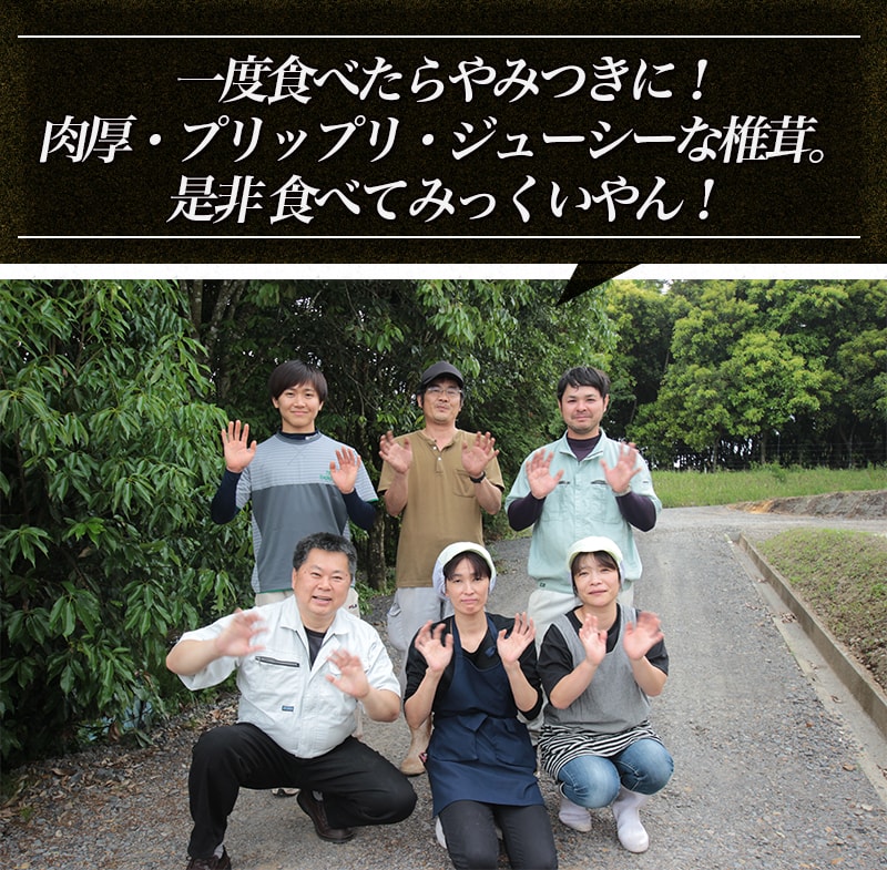 香り立つ!!「きのこ餃子」72個