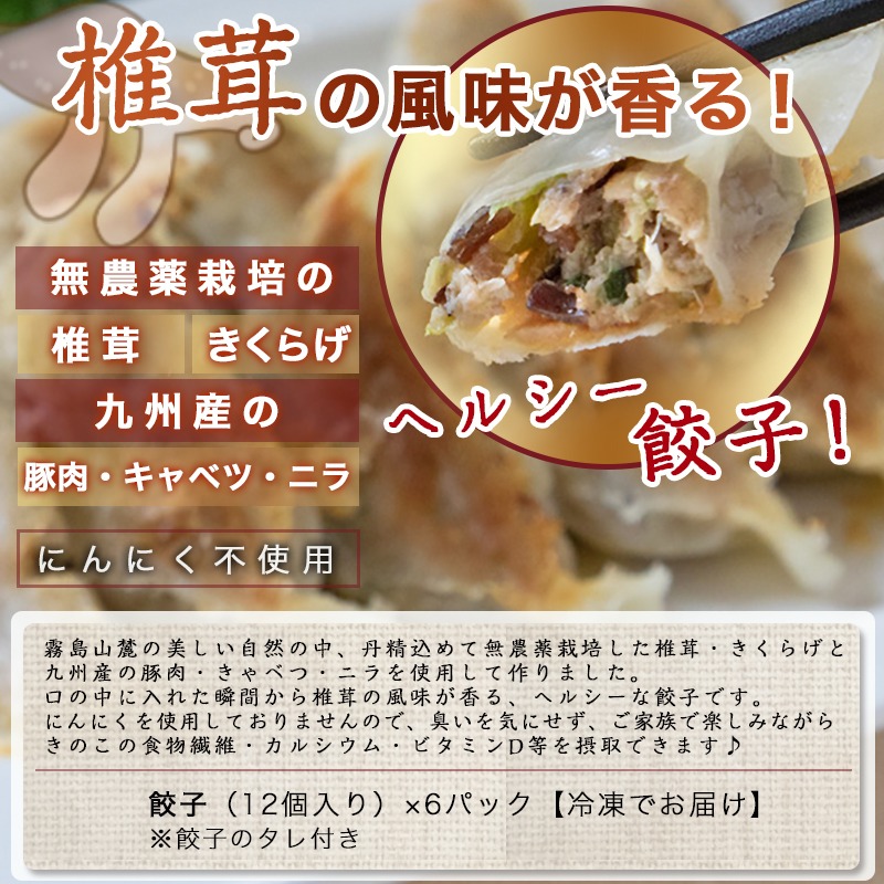香り立つ!!「きのこ餃子」72個