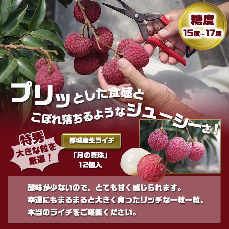 都城産生ライチ『月の真珠』《特秀》12個入