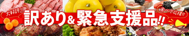 楽天市場】【ふるさと納税】≪戸村本店特製味付≫自家製餃子(10個×12パック)計120個 惣菜 加工品 : 宮崎県日南市