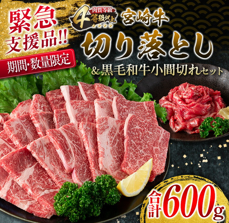 格安販売の ふるさと納税 CD27-21 ≪数量限定≫黒毛和牛ロースステーキ 計800g 肉 牛 牛肉 宮崎県日南市  materialworldblog.com