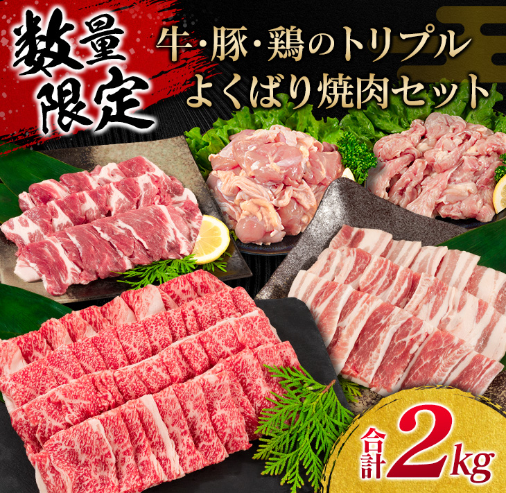 楽天市場】【ふるさと納税】豚肉(5種)＆鶏肉(1種)セット(合計5kg) : 宮崎県日南市