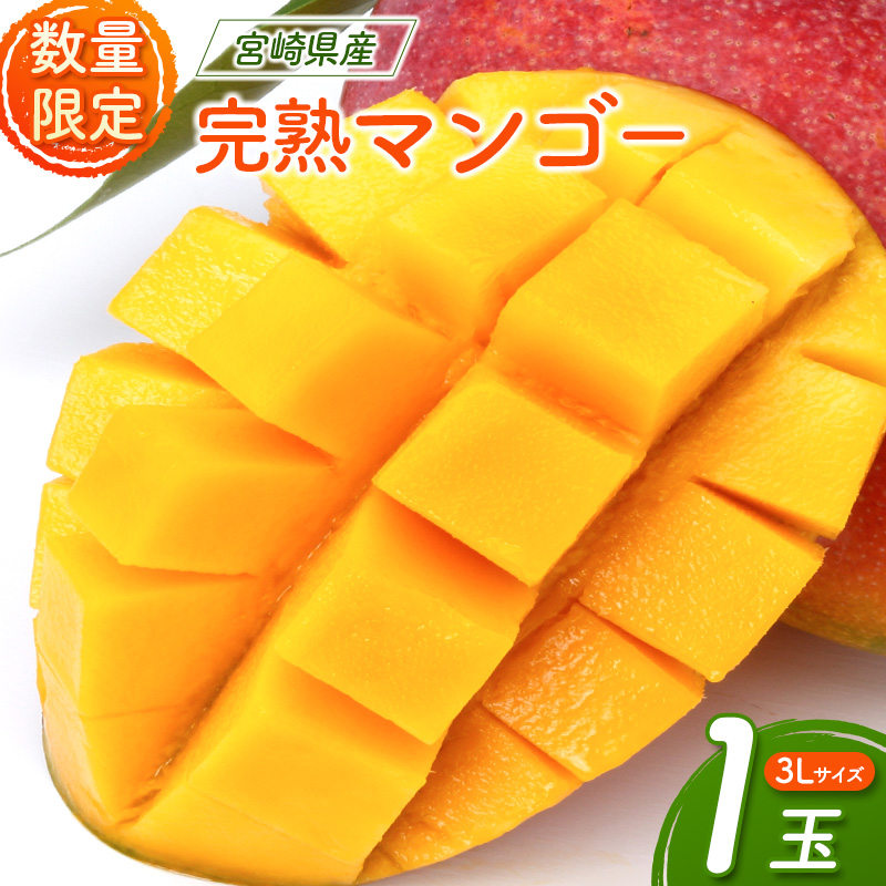 25％OFF】 クール便宮崎県産完熟マンゴーLサイズ6玉1.9kg blog