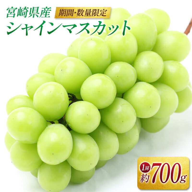 国内正規品 ふるさと納税 高原町 【限定50セット】九州産シャインマスカット2kg(3〜4房) 産直 sk-564 通販 