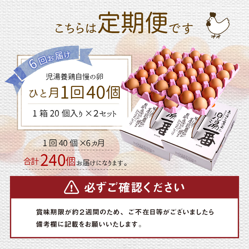 ふるさと納税 児湯養鶏自尊の卵細胞 トータル240個 40個 6度 6ヶ月定期書翰 冷蔵 貨物輸送無料 たまご 国産 Daemlu Cl