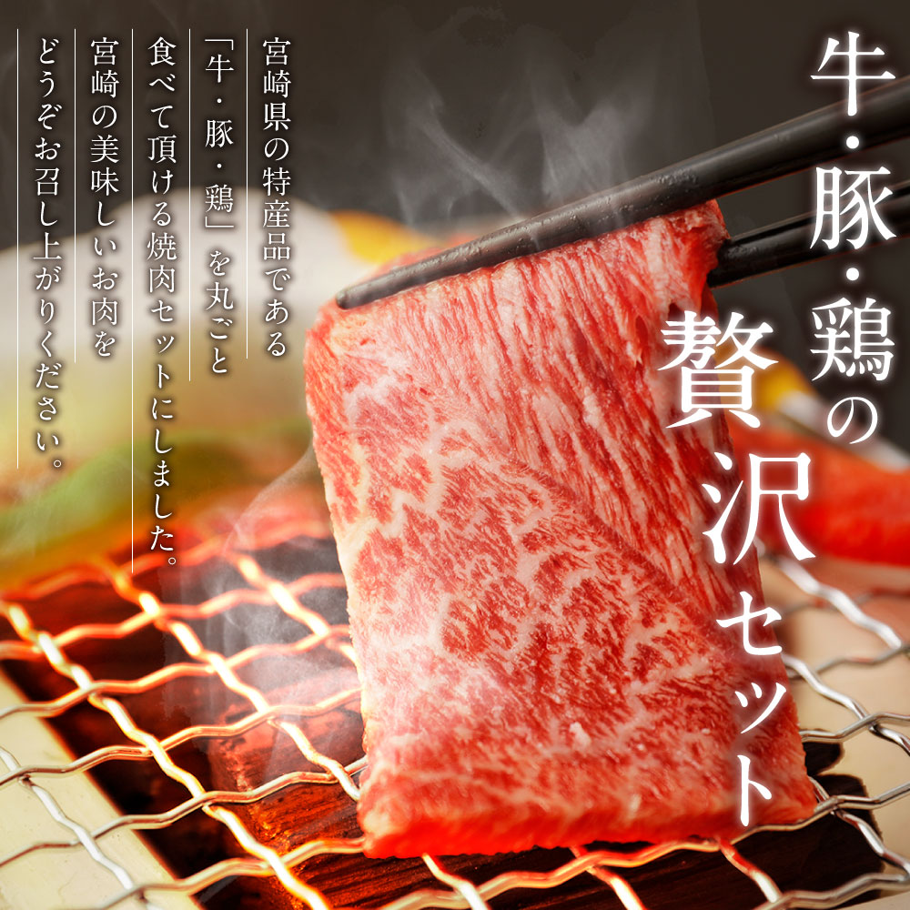 ふるさと納税 宮崎県産 焼肉セット 合計2kg 牛肉 豚肉 鶏肉 冷凍 小分け 牛ウデ 豚バラ 若鶏モモ 手羽先 鳥肉 送料無料 宮崎県新富町