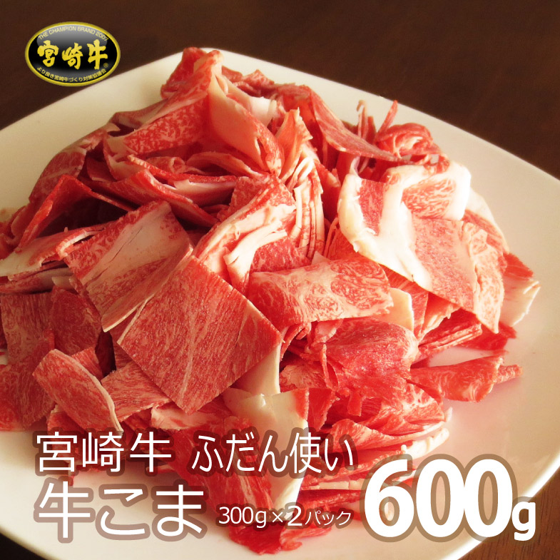 【ふるさと納税】宮崎牛こま 合計600g(300g×2パック)牛肉 A4 小間 普段使い 冷凍 内閣総理大臣賞受賞 宮崎県産 国産 送料無料