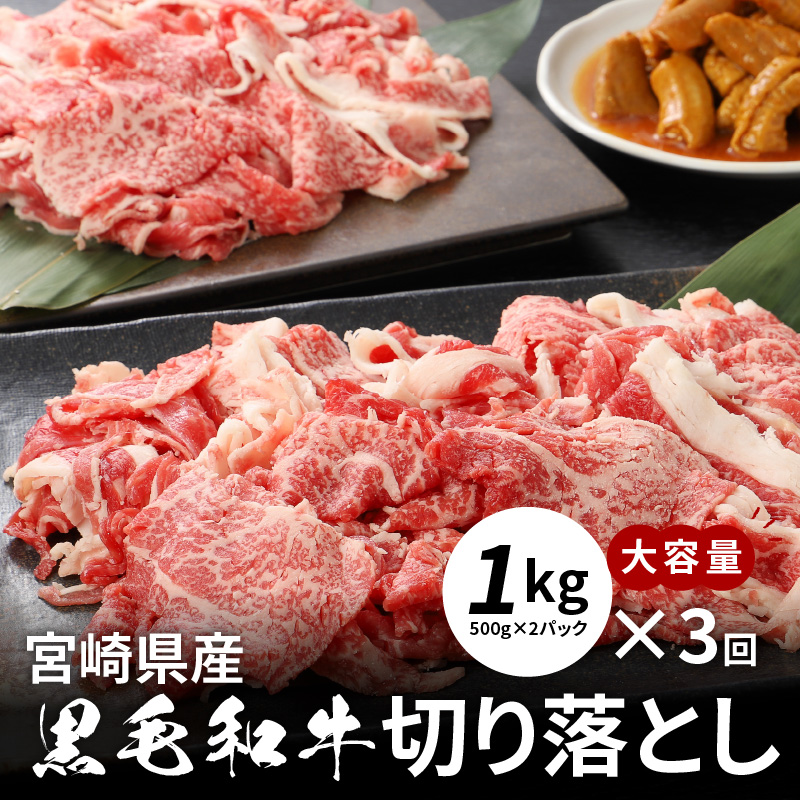 ふるさと納税 牛肉 豚肉切り落としセット 3か月定期便 Rvcconst Com