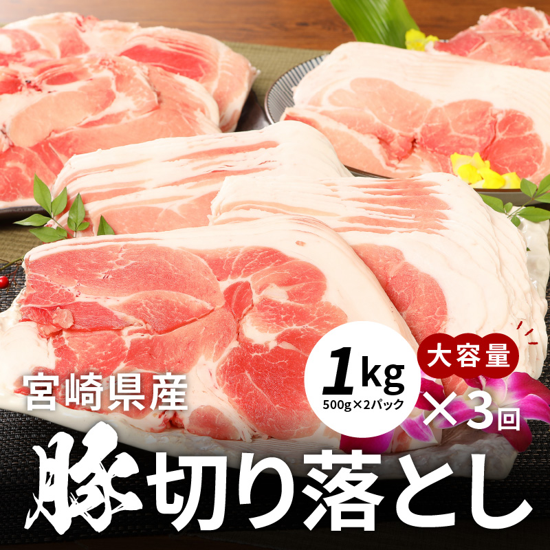 ふるさと納税 牛肉 豚肉切り落としセット 3か月定期便 Rvcconst Com