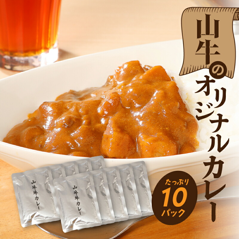 【ふるさと納税】「山牛」のオリジナルカレー10パックセット - 1人前 約200g レトルトカレー ビーフカレー レトルト食品 おかず お惣菜 国産牛肉 黒毛和牛 簡易包装 パウチ 湯煎調理 常温保存 保存食 送料無料【宮崎県木城町】
