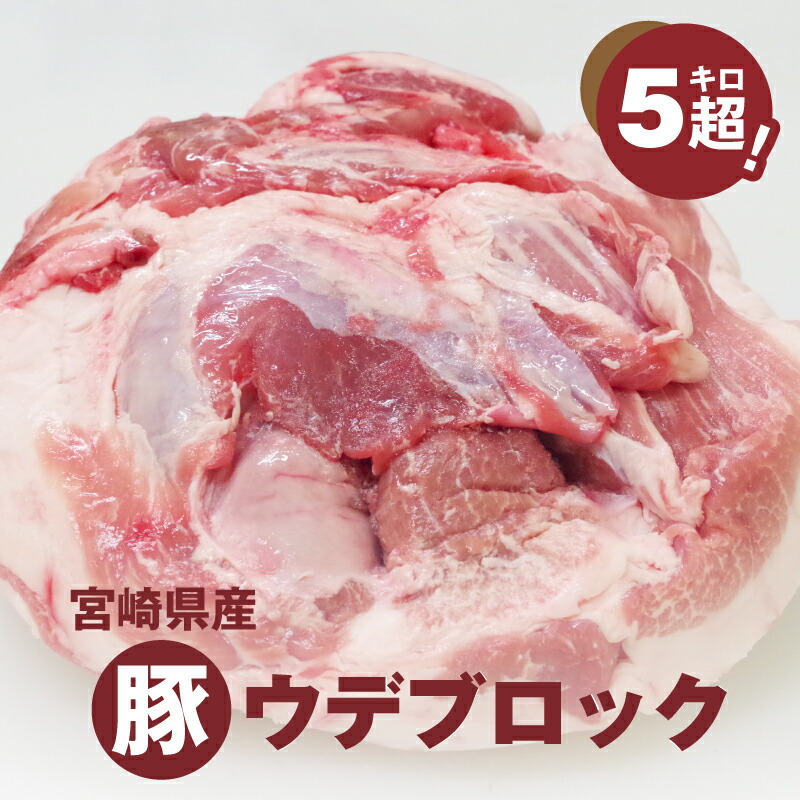 【ふるさと納税】宮崎県産豚ウデブロック５kg超！ - 国産豚肉 ウデ肉 かたまり肉 5キロ 冷凍 大容量 ブロック肉 塊肉 大きい お好みにカットできる 届いたらご自宅でカット 送料無料 【宮崎県木城町】