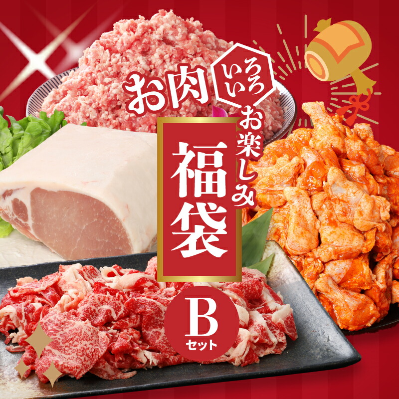 【ふるさと納税】福袋 木城町 お肉いろいろお楽しみセットB - 総重量5kg 訳ありスパイシーチキン/豚ロースブロック/豚ミンチ/黒毛和牛切り落とし わけあり スパチキ 国産 鶏肉 豚肉 国産牛肉 送料無料【宮崎県木城町】