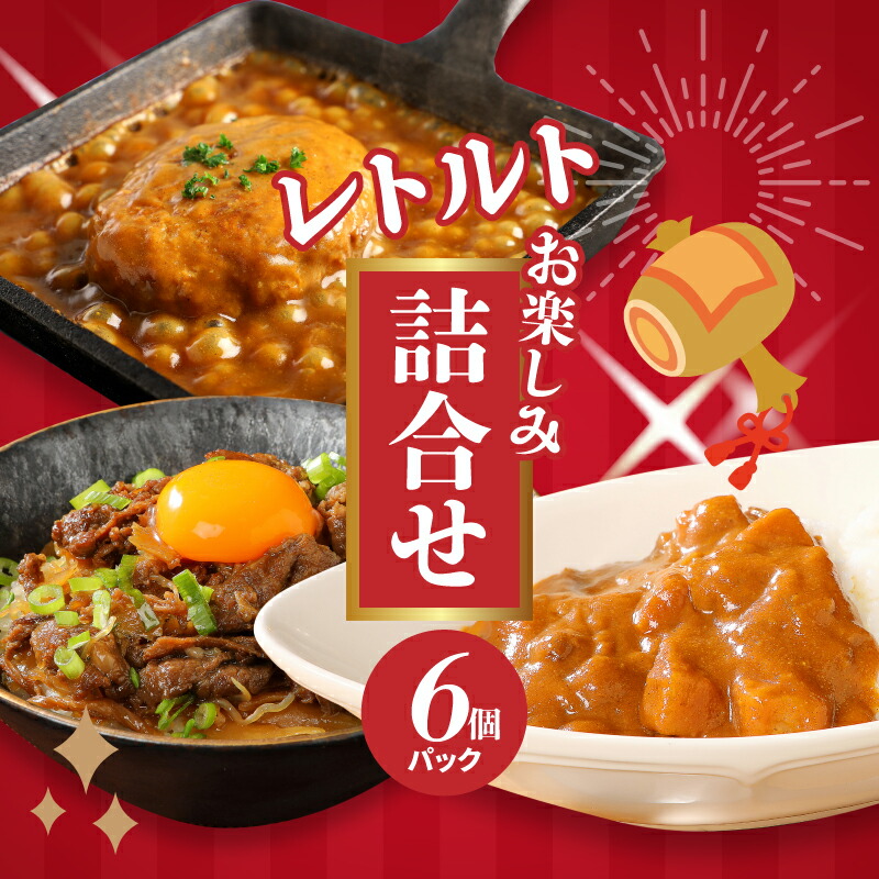 【ふるさと納税】福袋 お楽しみレトルト詰め合わせ6パックセット - 3種類のレトルト食品 パウチ レトルトカレー/牛丼の具/ハンバーグカレー 常温保存 1人暮らし 新生活応援セット 湯煎調理 お取り寄せグルメ ご当地グルメ 保存食 送料無料【宮崎県木城町】|宮崎県木城町