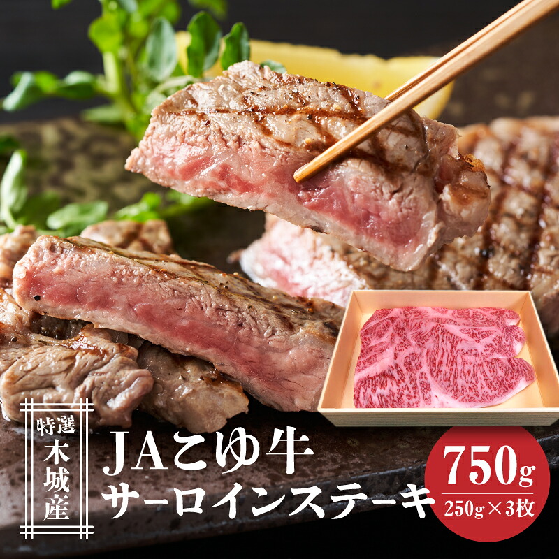 【ふるさと納税】JAこゆ牛サーロインステーキ 3枚【特選木城産】 - 1枚250g お肉 牛肉 冷凍配送 国産黒毛和牛ステーキ ローカルブランド JAこゆ牛 希少 ビーフステーキ ステーキ肉 250g&times;3 A4/A5 国産牛ステーキ 送料無料 【宮崎県木城町】｜宮崎県木城町