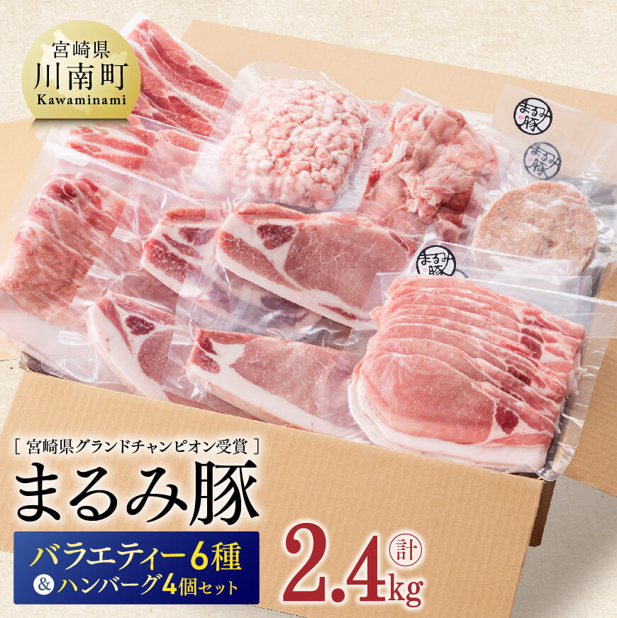 卸売 バラエティ6種 ハンバーグ4個セット 計2.4kg fucoa.cl