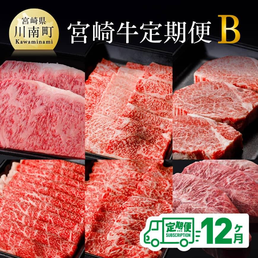 【ふるさと納税】【定期便】宮崎牛 12ヶ月定期便Ｂ(ロースステーキ/肩ロース焼肉/ヒレステーキ/ウデスライス/モモ焼肉/ミスジステーキ) 肉 牛肉 国産 宮崎県産 黒毛和牛 和牛 BBQ すき焼き ミヤチク 送料無料 D00676t12