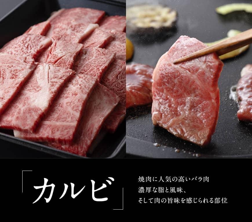 公式ショップ 詰め合わせ カルビ おうち時間 肉質等級4等級以上 5等級 焼肉用 セット 宮崎県 焼肉セット 4等級 ミヤチク 宮崎牛 おうちごはん  牛バラ 国産 川南町 肩ロース バラ 黒毛和牛 肉 牛肉 精肉・肉加工品