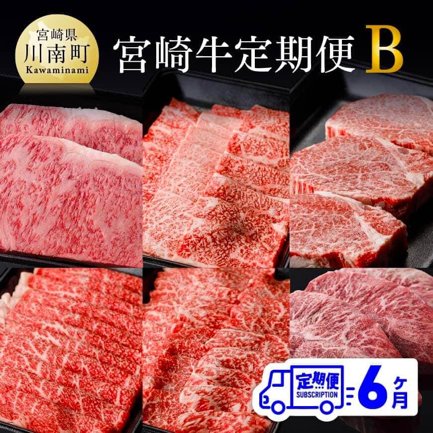 【ふるさと納税】【定期便】宮崎牛 6ヶ月定期便Ｂ - 肉 牛肉 国産 宮崎県産 黒毛和牛 和牛 ロースステーキ 肩ロース焼肉 ヒレステーキ ウデスライス モモ焼肉 ミスジステーキ ミヤチク 送料無料 D00683t6 74,250円