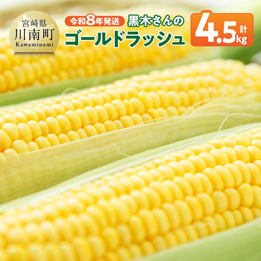 【ふるさと納税】 【令和8年発送】 黒木さんのゴールドラッシュ4.5kg - 数量限定 季節限定 産地直送 とうもろこし コーン とうきび 野菜 C10902