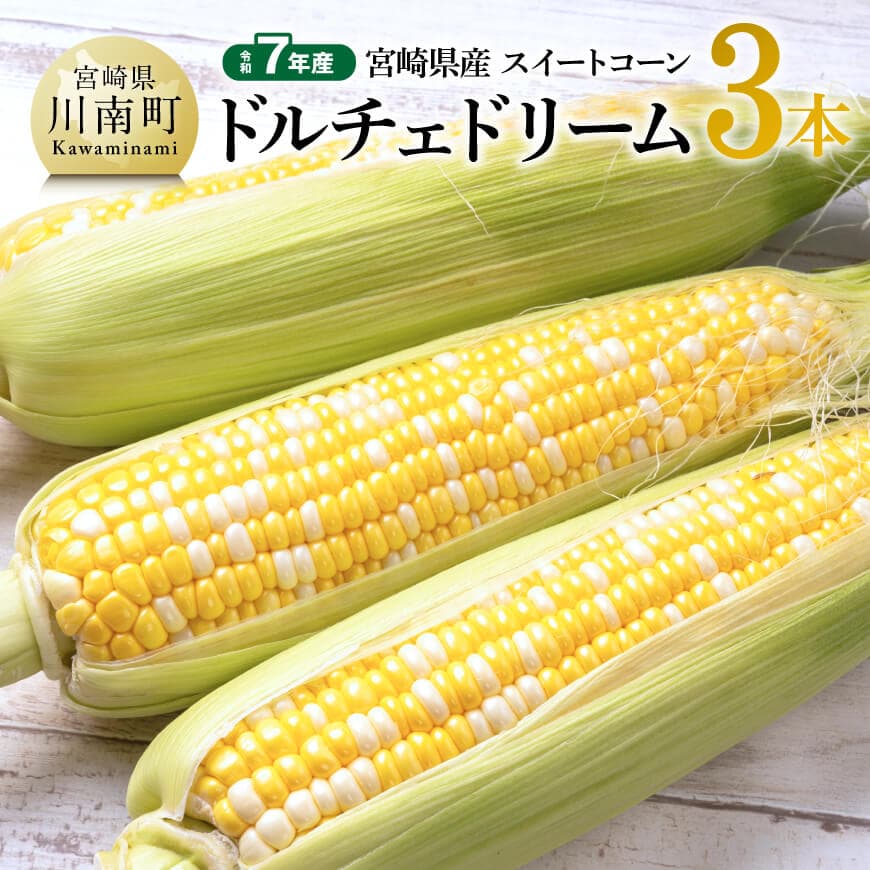【ふるさと納税】【令和7年産】宮崎県産とうもろこし　スィートコーン「ドルチェドリーム」3本 - トウモロコシ コーン ドルチェドリーム とうきび 新鮮 野菜 農家直送 期間限定 先行予約 先行受付 九州産 宮崎県産 川南町 送料無料 C10801