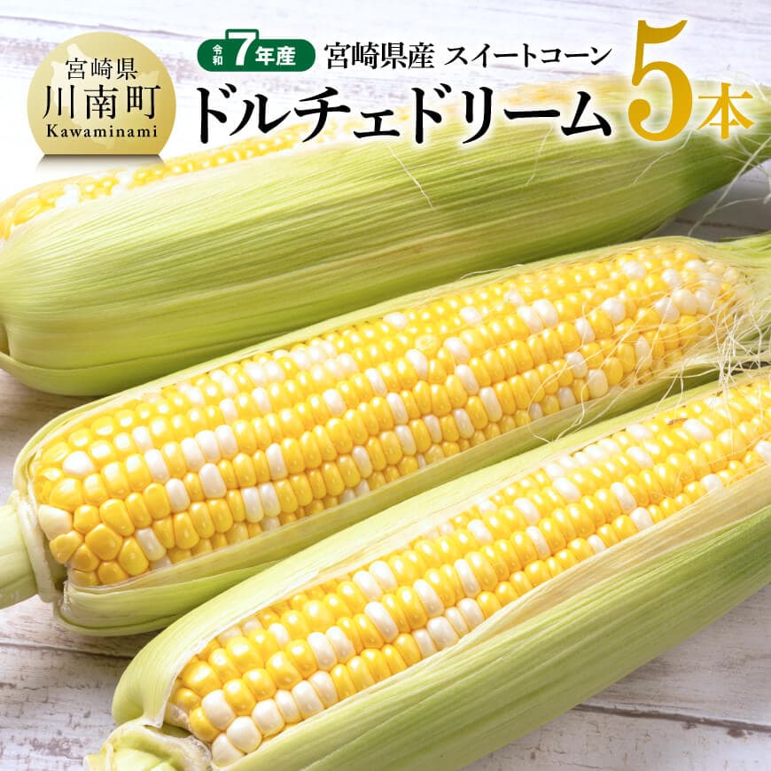 【ふるさと納税】【令和7年産】宮崎県産とうもろこし　スィートコーン「ドルチェドリーム」5本 - トウモロコシ コーン ドルチェドリーム とうきび 新鮮 野菜 農家直送 期間限定 先行予約 先行受付 九州産 宮崎県産 川南町 送料無料 C10803