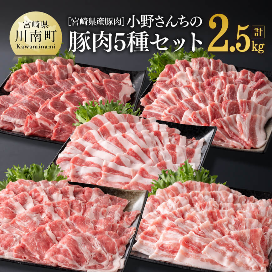 【ふるさと納税】宮崎県産豚肉 小野さんちの\