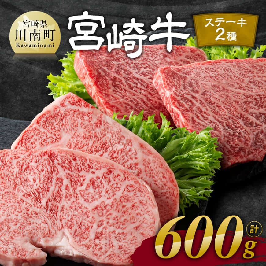 【ふるさと納税】 ※発送時期が選べる※宮崎牛ステーキ 2種 600g - 肉 牛肉 黒毛和牛 宮崎県産牛 九州産牛 国産牛 宮崎県産 九州産 国産 ロース モモ ステーキ E11118