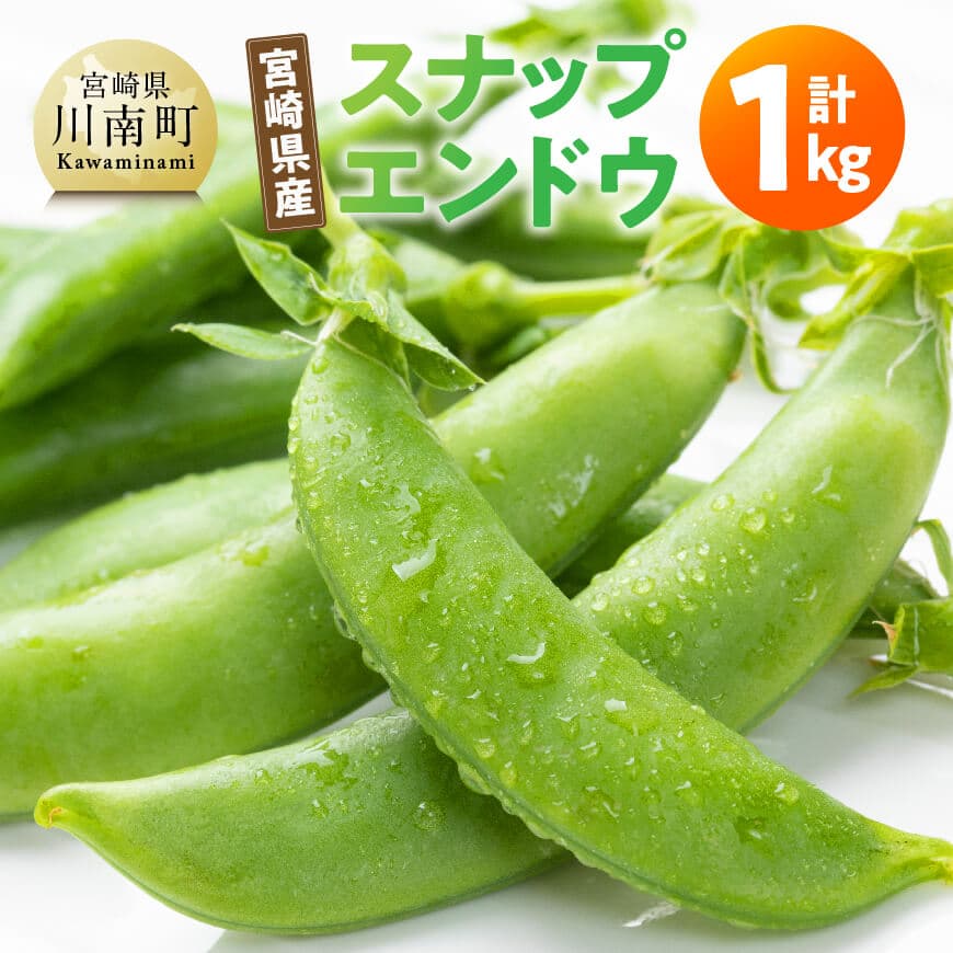 【ふるさと納税】宮崎県産　スナップエンドウ1kg - 宮崎県産 川南町産 国産 エンドウ えんどう エンドウ豆 えんどう豆 送料無料 B12701 5,840円