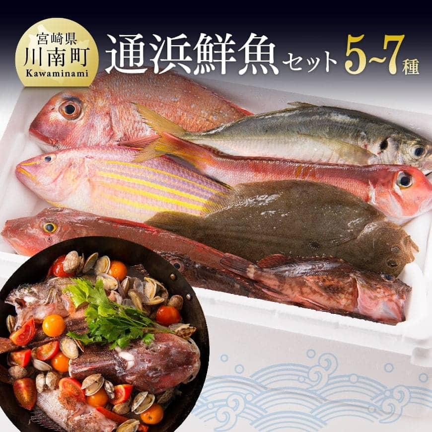 【ふるさと納税】『日向灘海の幸』通浜鮮魚セット - 鮮魚 魚介 セット 新鮮 漁協直送 刺身 海の幸 魚介類 H1702