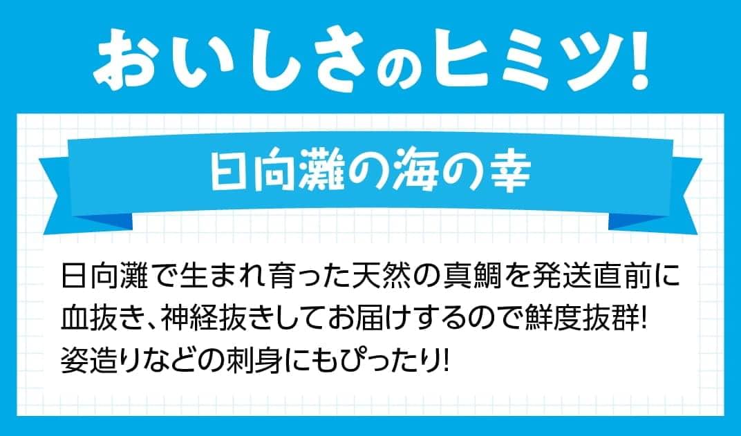 ふるさと納税 日向灘の海の幸 天然真鯛 活き締め Prescriptionpillsonline Is ふるさと納税 日向灘の海の幸 天然真鯛 活き締め Prescriptionpillsonline Is