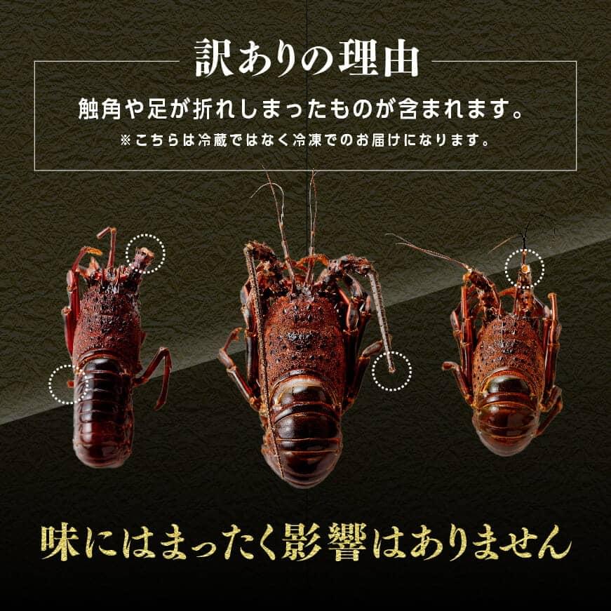 2022年10月】ふるさと納税でもらえる伊勢エビの還元率・コスパランキング|｜gooふるさと納税