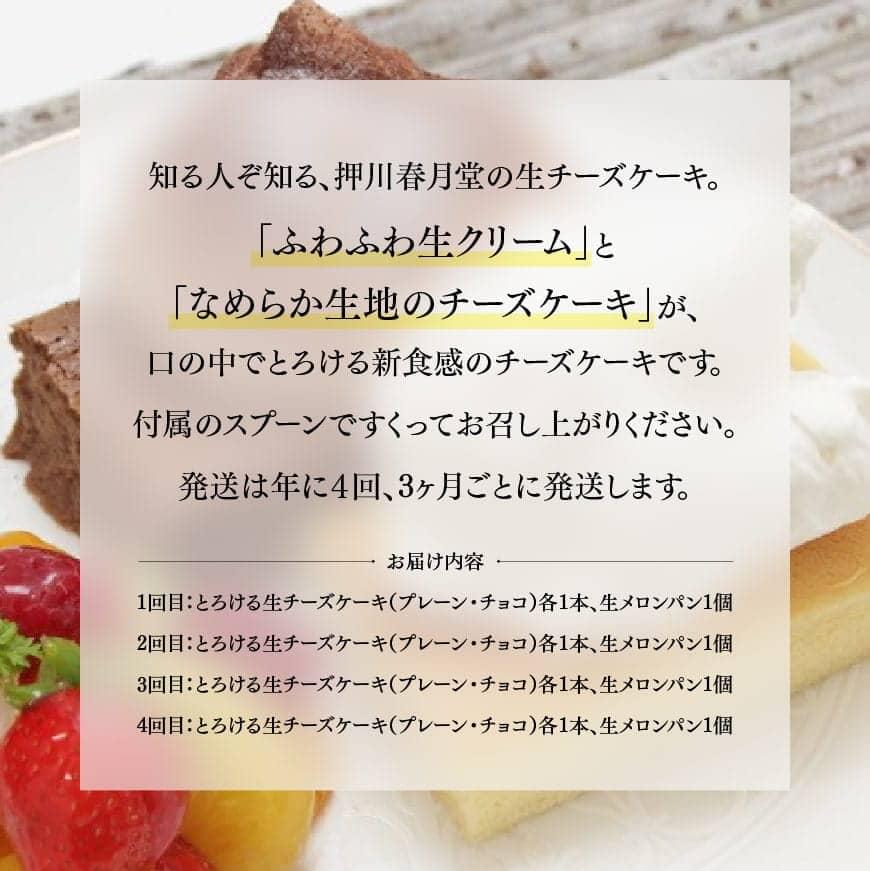 ふるさと納税 定期便 チーズ ケーキ 生クリーム メロンパン 送料無料 チーズケーキ セット 人気の新食感とろける生チーズケーキ プレーン チョコ メロンパン定期便 回コース Purplehouse Co Uk