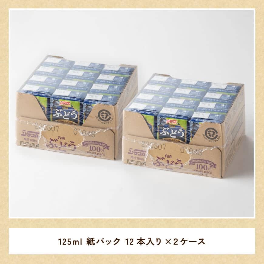 3000円 【予約販売品】 サンA ぶどう ジュース 100％ 紙パック 125ml×24本