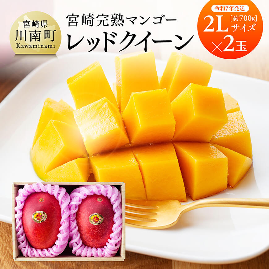 【ふるさと納税】 【令和7年発送】宮崎県産完熟マンゴー 「レッドクイーン」2L×2玉 - 【 先行予約  数量限定 期間限定果物 フルーツ マンゴー 宮崎県産 完熟マンゴー みやざきマンゴー 】 D03208