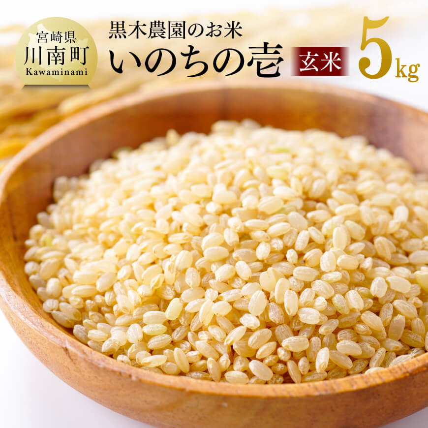 【令和6年産】  黒木農園のお米「いのちの壱(玄米)」 5kg