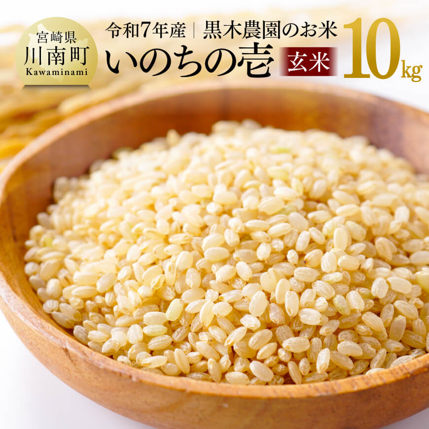 令和７年産米☆☆いのちの壱☆酵素散布米 ☆玄米 いのちの壱 １０キロ 精米無料 米・雑穀 【ふるさと納税】【令和7年産】黒木農園のお米「いのちの壱