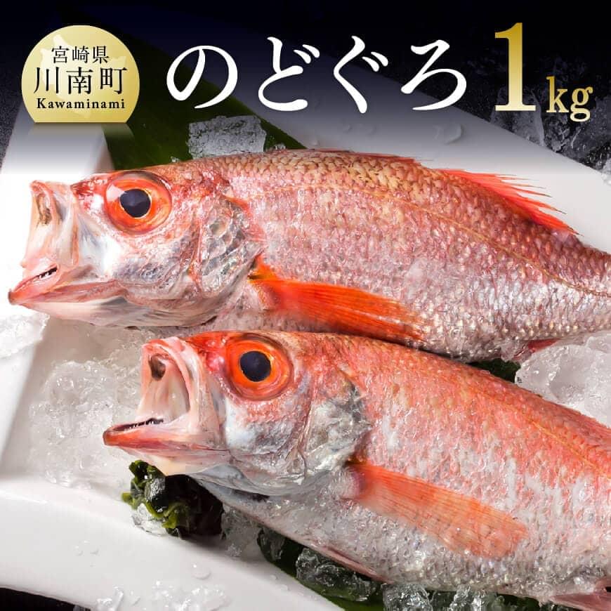 【ふるさと納税】川谷水産厳選！ のどぐろ ( アカムツ )約１ｋｇ 送料無料 鮮魚 のどぐろ あかむつ D04407
