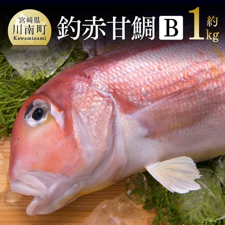【ふるさと納税】 釣赤甘鯛 Ｂ 【 宮崎県産 日向灘 アマダイ 鮮魚 さかな 九州 宮崎 川南町 新鮮 魚介 海の幸 魚介類 たい 送料無料 D04409 】