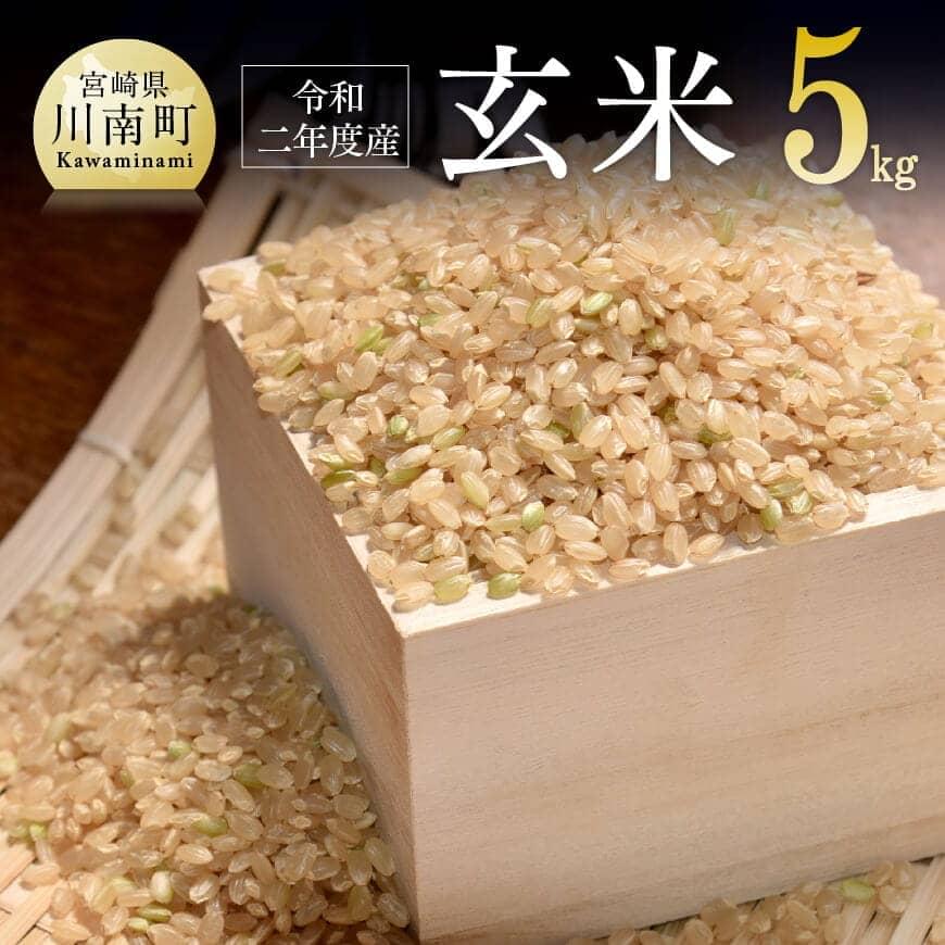 驚きの値段 新米 令和２年産 農家直送 玄米 こしひかり ８月後半より発送予定 宮崎県産 川南町産 米 コシヒカリ G5904 新発売の Virtualhypnosisinternational Com