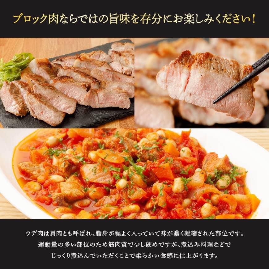 予約販売 川南ポーク ウデブロック2kg 宮崎県産 九州産 川南町産 豚肉 ぶた肉 おうちごはん 送料無料 G5022 qdtek.vn