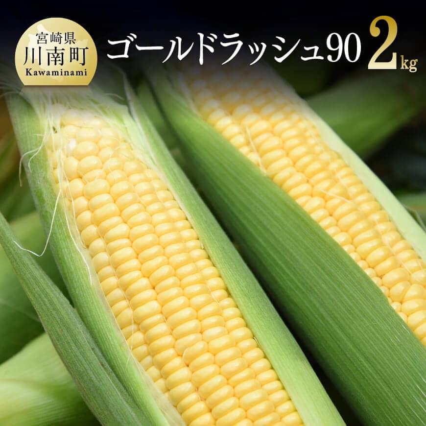 【ふるさと納税】 【令和7年発送】政岡さんちのスイートコーン『ゴールドラッシュ90』2kg - 先行予約 数量限定 期間限定 2025年発送 とうもろこし スイートコーン 朝どれ 農家直送 九州産 宮崎県産 川南町産 送料無料 D06501