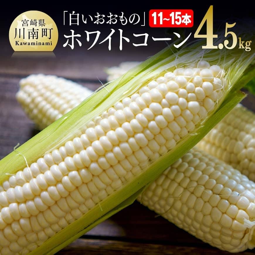 【ふるさと納税】 【令和7年発送】政岡さんちのスイートコーン「白いおおもの（ホワイトコーン）」4.5kg - 先行予約 数量限定 期間限定 2025年発送 とうもろこし スイートコーン 朝どれ 農家直送 九州産 宮崎県産 川南町産 送料無料 D06505