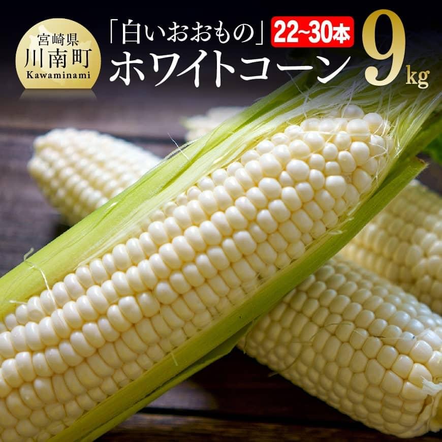 【ふるさと納税】 【令和7年発送】政岡さんちのスイートコーン「白いおおもの（ホワイトコーン）」9kg - 先行予約 数量限定 期間限定 2025年発送 とうもろこし スイートコーン 朝どれ 農家直送 九州産 宮崎県産 川南町産 送料無料 D06506