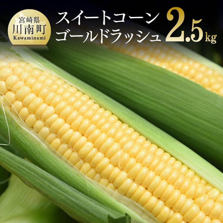 【ふるさと納税】 【令和7年発送】朝どれ！守部さんちのゴールドラッシュ2.5kg - 先行予約 数量限定 期間限定 宮崎県産(川南町産) とうもろこし ゴールドラッシュ 朝どれ 送料無料 D06405