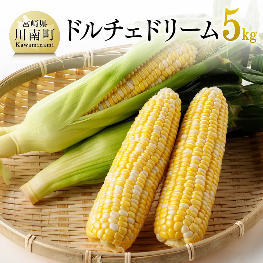 【ふるさと納税】【令和7年発送】朝どれ！守部さんちのドルチェドリーム5kg - 先行予約 数量限定 期間限定 スイートコーン とうもろこし 九州産 宮崎県産 川南町産  送料無料 D06402