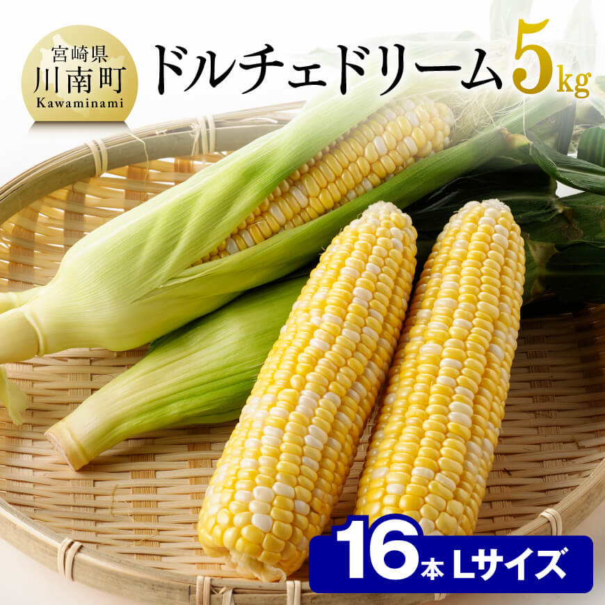 【ふるさと納税】 【令和7年発送】朝どれ！守部さんちのドルチェドリーム (L)5kg) - 先行予約 数量限定 期間限定 スイートコーン とうもろこし 九州産 宮崎県産 川南町産  送料無料 D06403