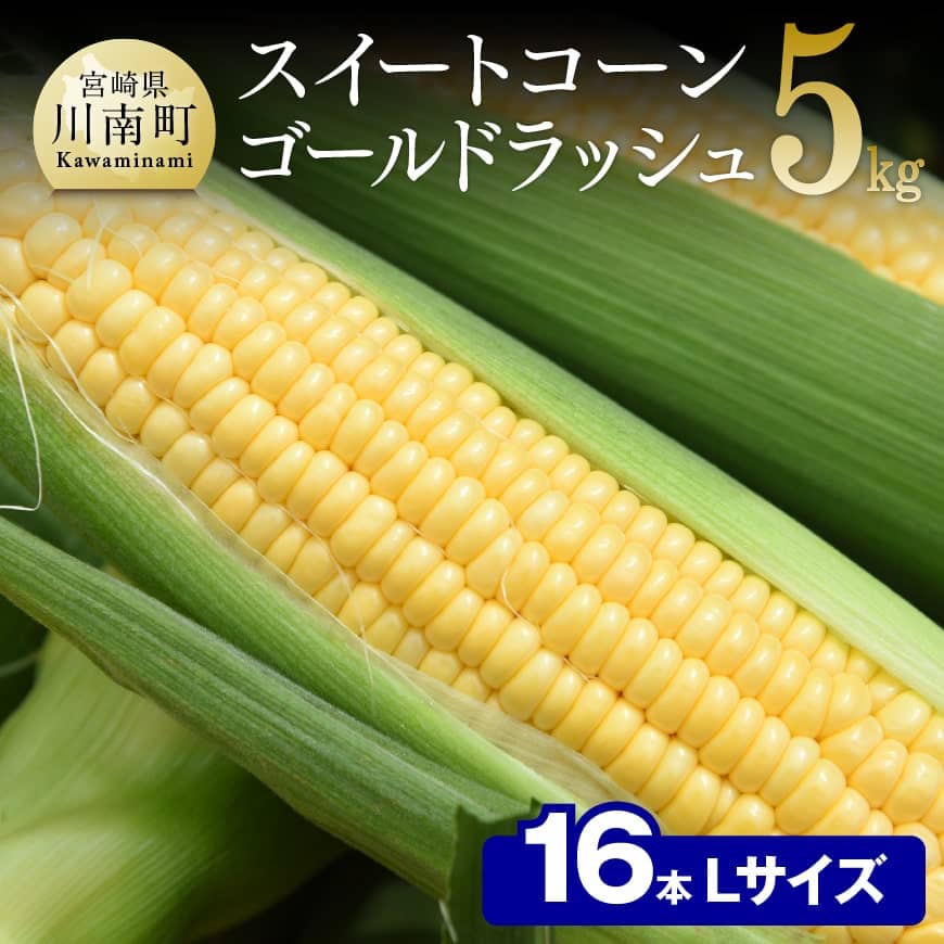 【ふるさと納税】【令和7年発送】朝どれ！守部さんちのゴールドラッシュ (L)5kg) - 先行予約 数量限定 宮崎県産(川南町産) とうもろこし 送料無料 期間限定 朝どれ D06407